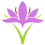 logo_zafferangi-removebg-preview